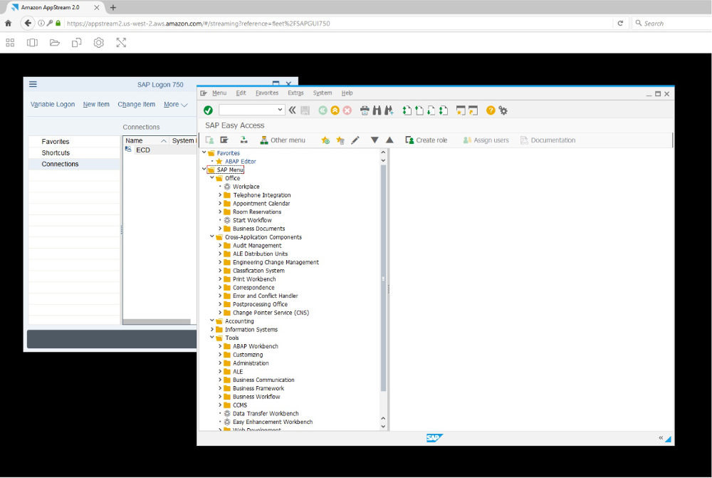 SAP GUI on AppStream