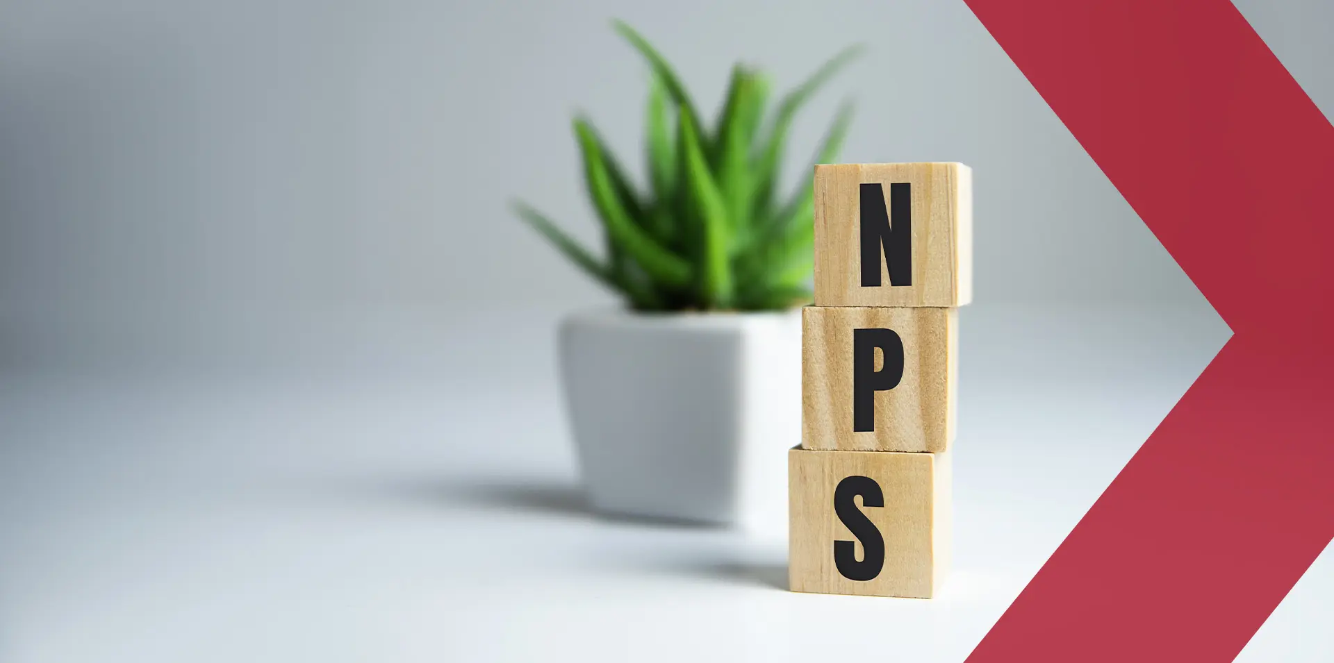 Benchmarking Net Promoter Score (NPS) and factors affecting it