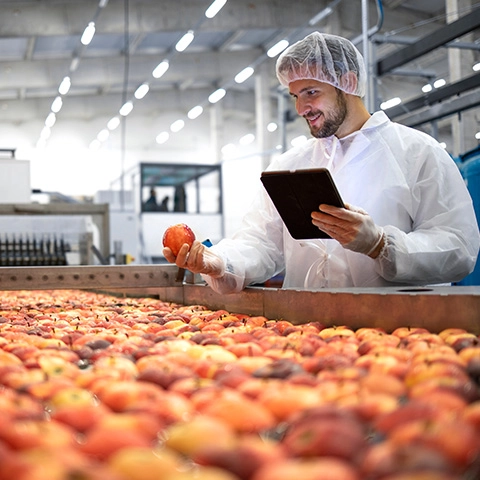 The Benefits of Digital Transformation in the Food Industry