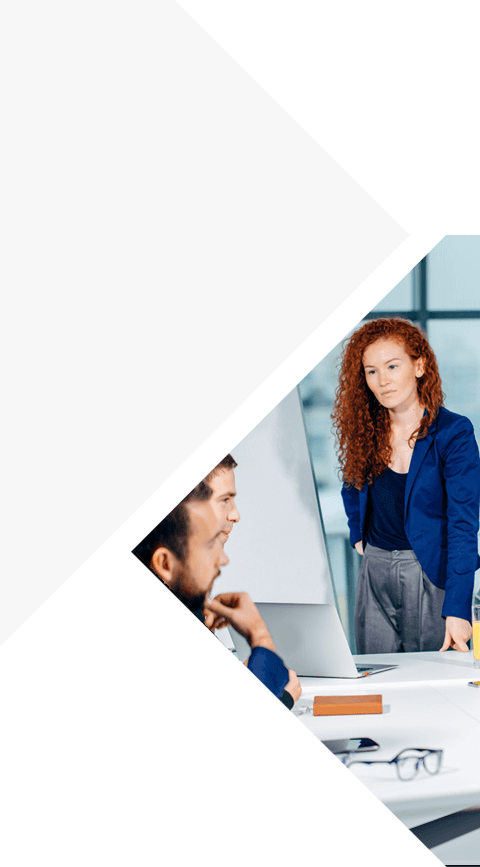 Professional Services / Consulting Firms