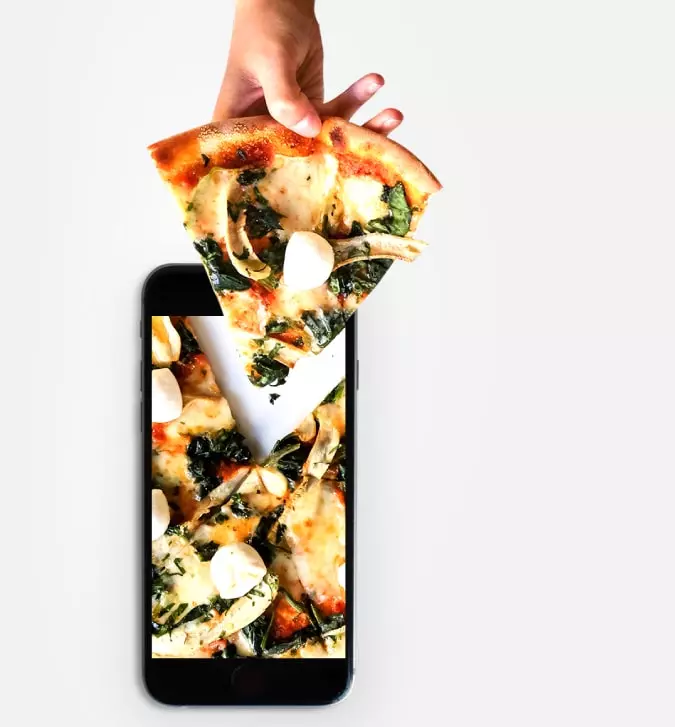 Food segment