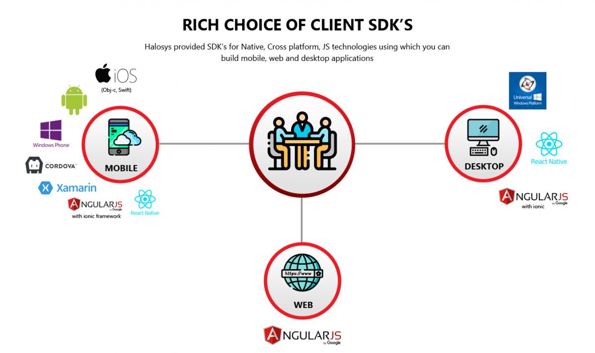Halosys SDKS Infographic