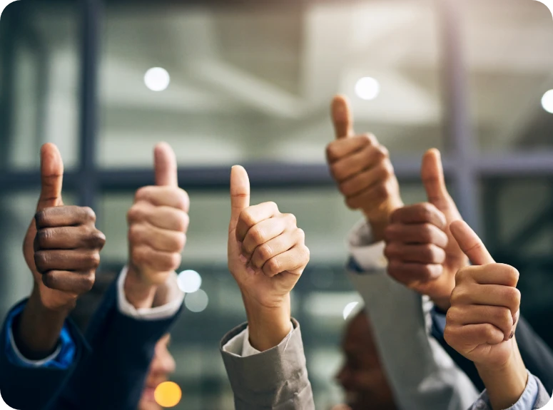 Reporting and insights